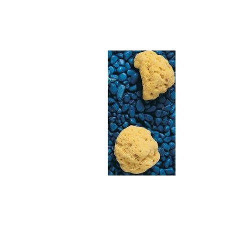 SPUGNA NAT FORI L 12/13CM 9