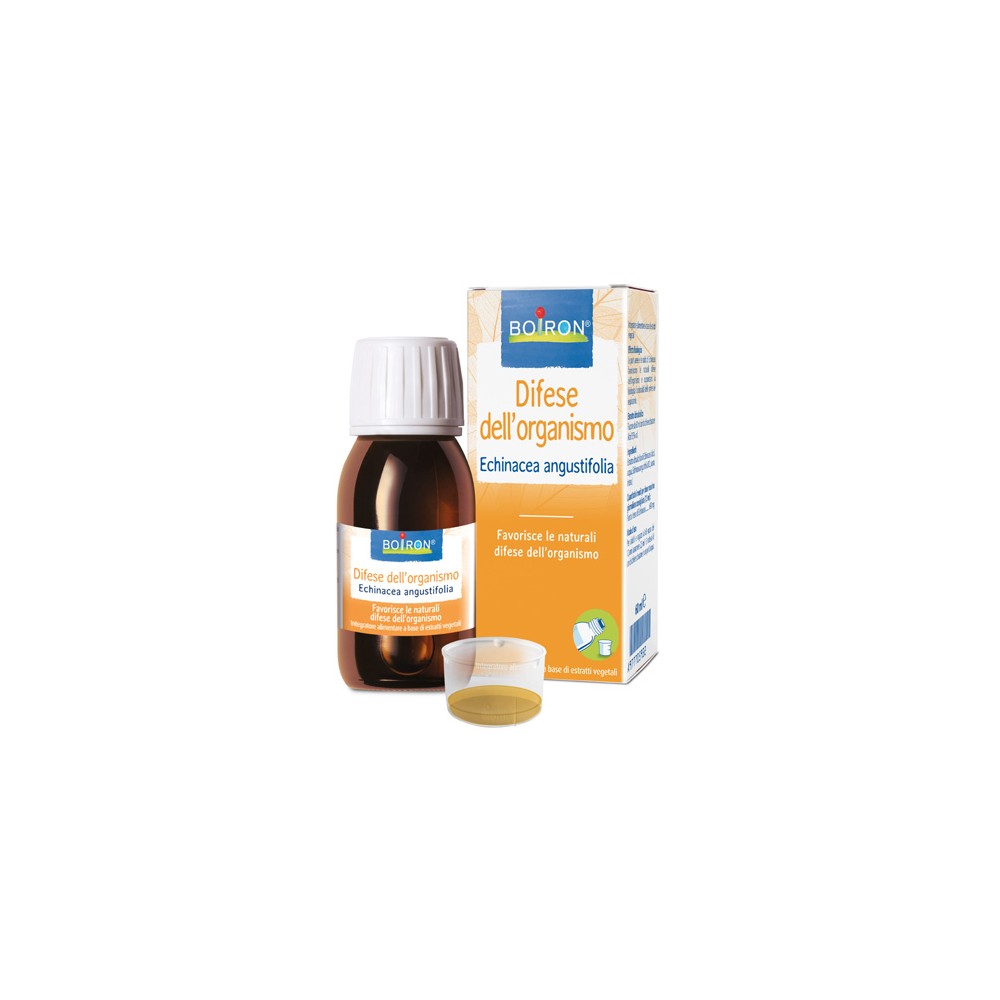 ECHINACEA ANG BOI EI 60ML INT