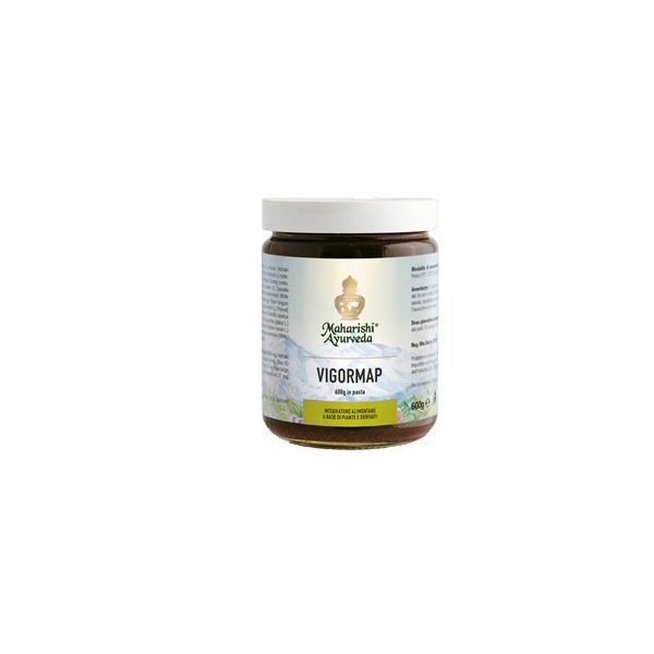 VIGORMAP PASTA 600G