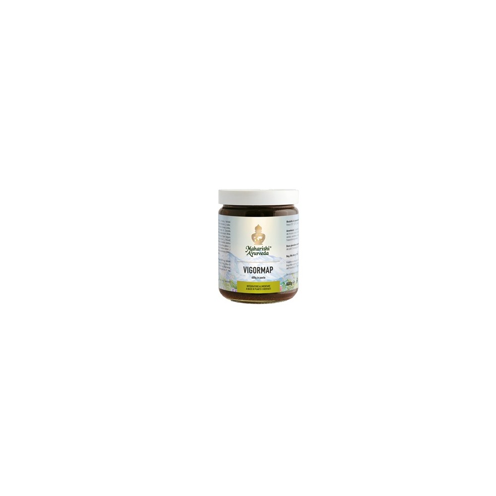 VIGORMAP PASTA 600G