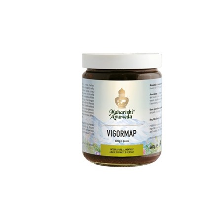 VIGORMAP PASTA 600G
