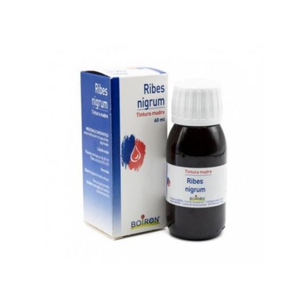 RIBES NIGRUM 60ML TM