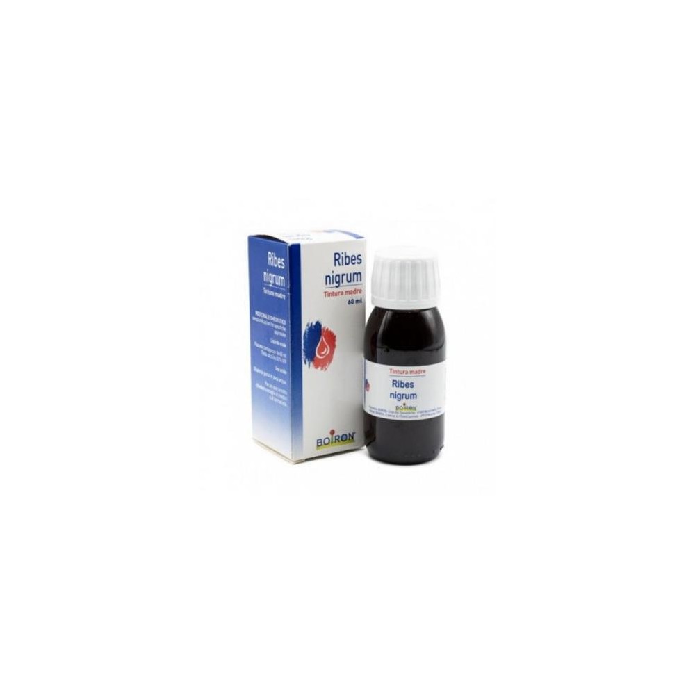RIBES NIGRUM 60ML TM