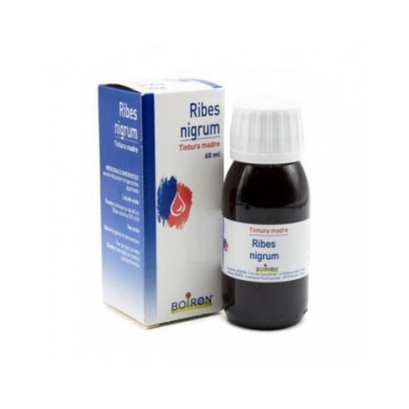 RIBES NIGRUM 60ML TM