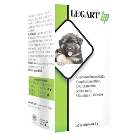 LEGART UP 120CPR