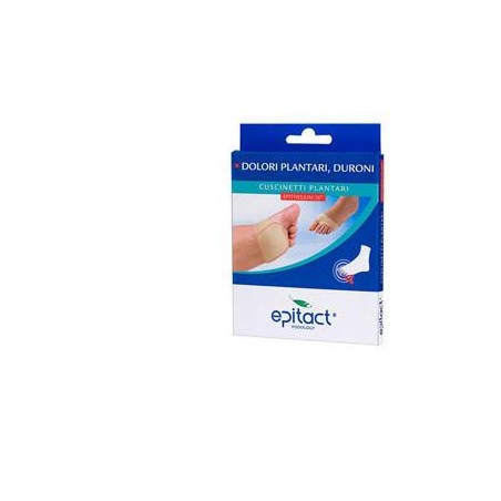 EPITACT CUSCINETTO PLANT S 1PA