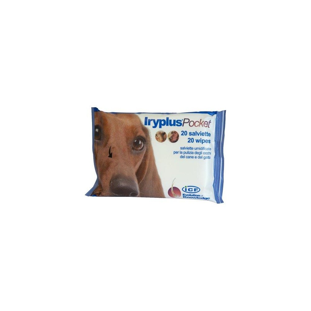 IRYPLUS POCKET SALVIETTINE 20P