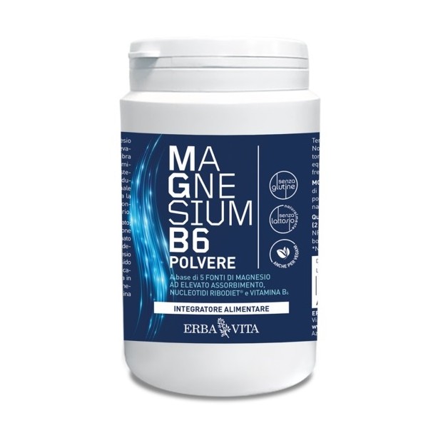 MAGNESIUM B6 POLV 200G