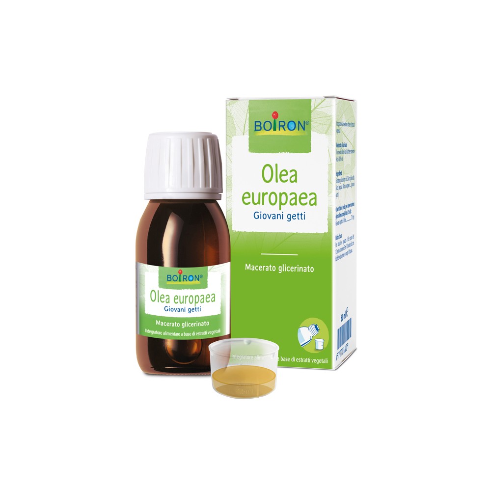 OLEA EUROPAEA BOI MG 60ML INT