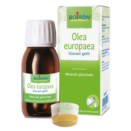 OLEA EUROPAEA BOI MG 60ML INT