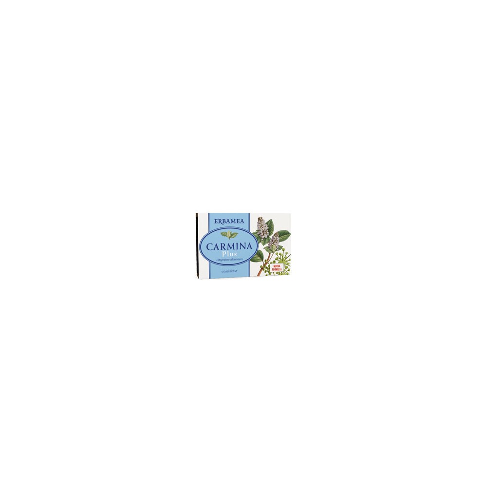 CARMINA PLUS 24CPR 19,2G
