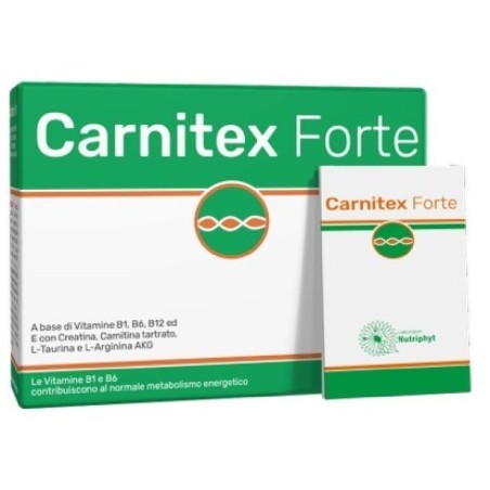 CARNITEX FORTE 14BUST