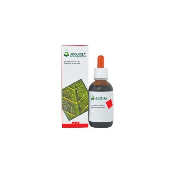 CLOROFILLA SOL IAL 50ML