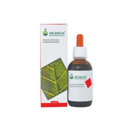 CLOROFILLA SOL IAL 50ML