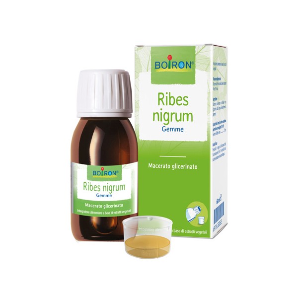 RIBES NIGRUM BOI MG 60ML INT