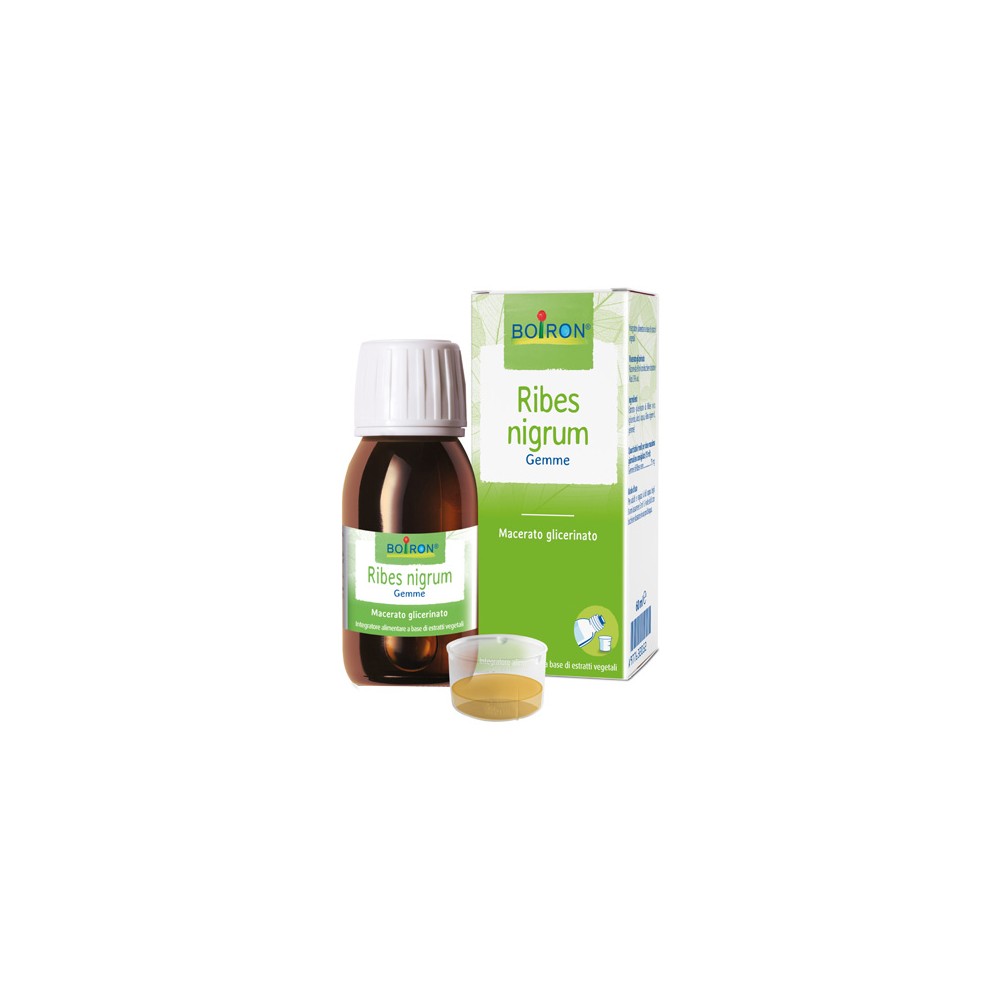 RIBES NIGRUM BOI MG 60ML INT