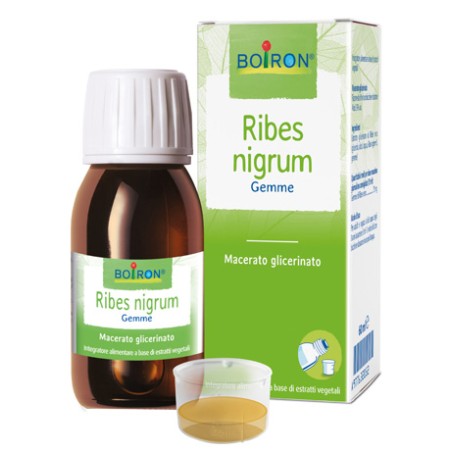 RIBES NIGRUM BOI MG 60ML INT