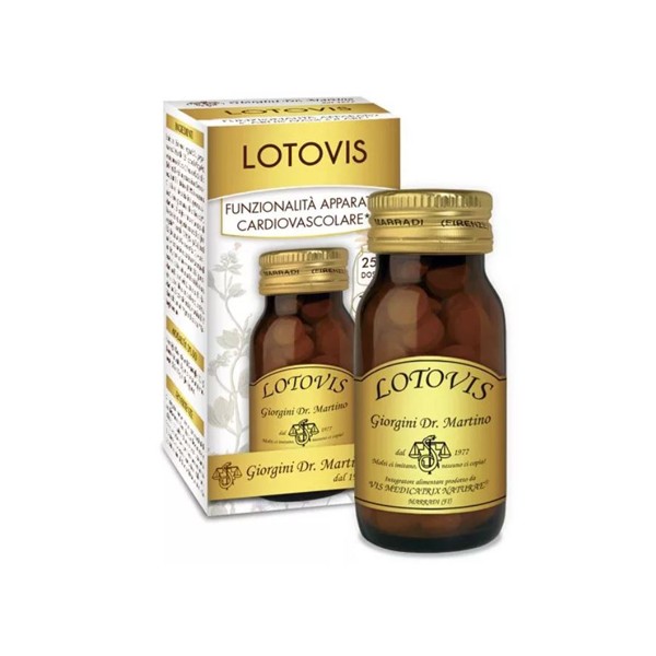 LOTOVIS 100PAST