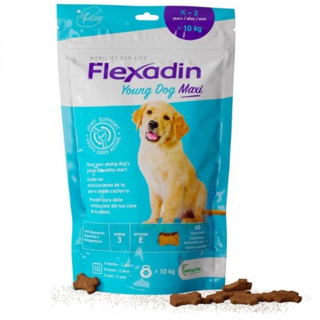 FLEXADIN YOUNG MAXI 60TAV
