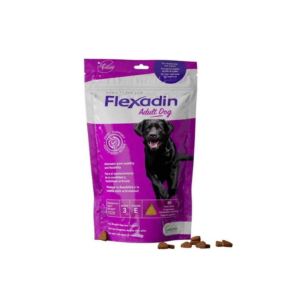 FLEXADIN ADULT 60TAV