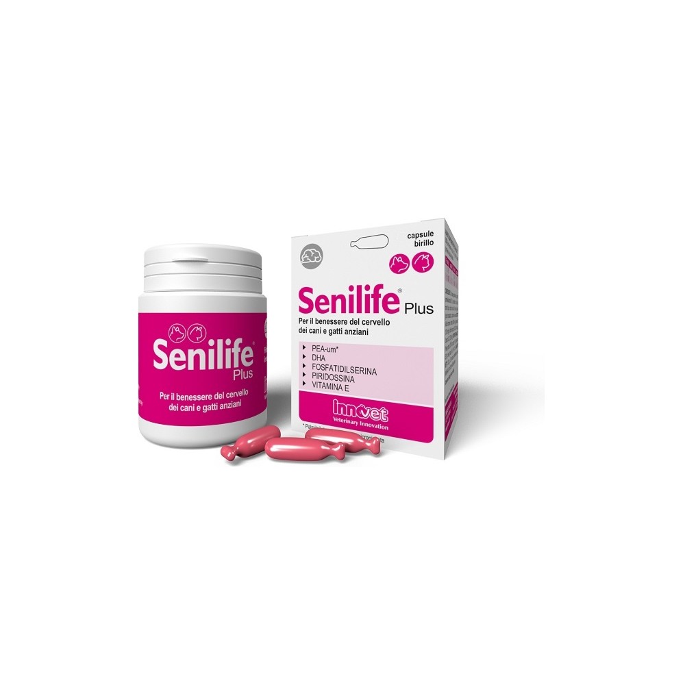 SENILIFE PLUS 60CPS