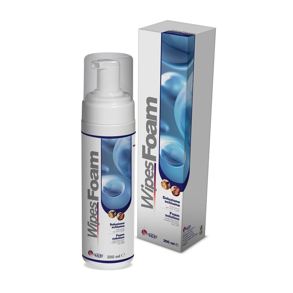 WIPES FOAM 200ML