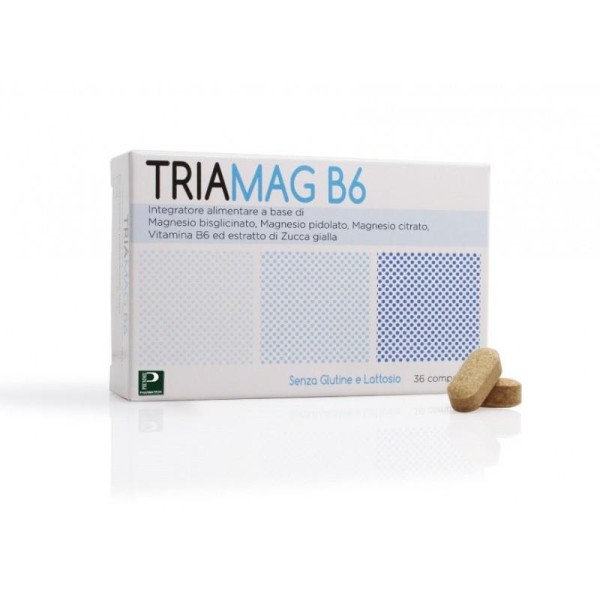 TRIAMAG B6 36CPR