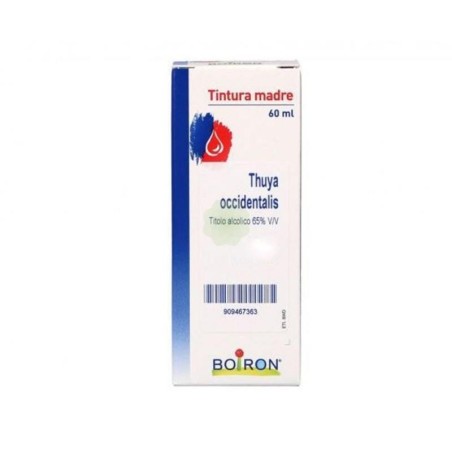 THUYA OCCIDENT 60ML TM
