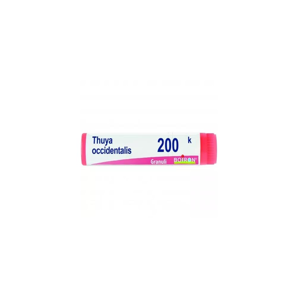 THUYA OCCIDENT 200K GL