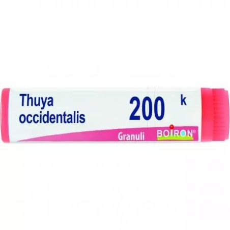 THUYA OCCIDENT 200K GL