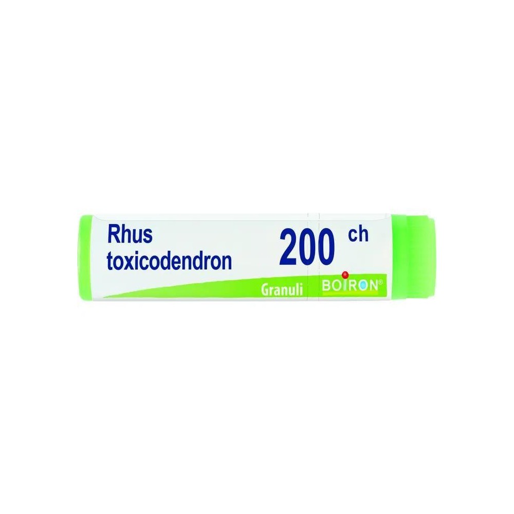 RHUS TOXICODENDRON%200CH GR 1G