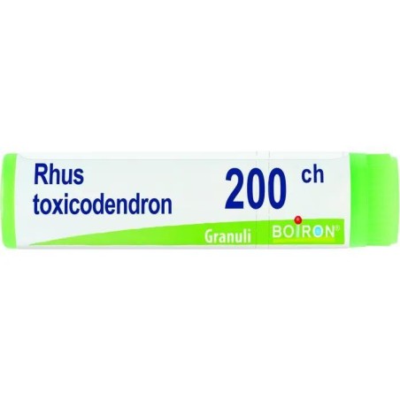 RHUS TOXICODENDRON%200CH GR 1G