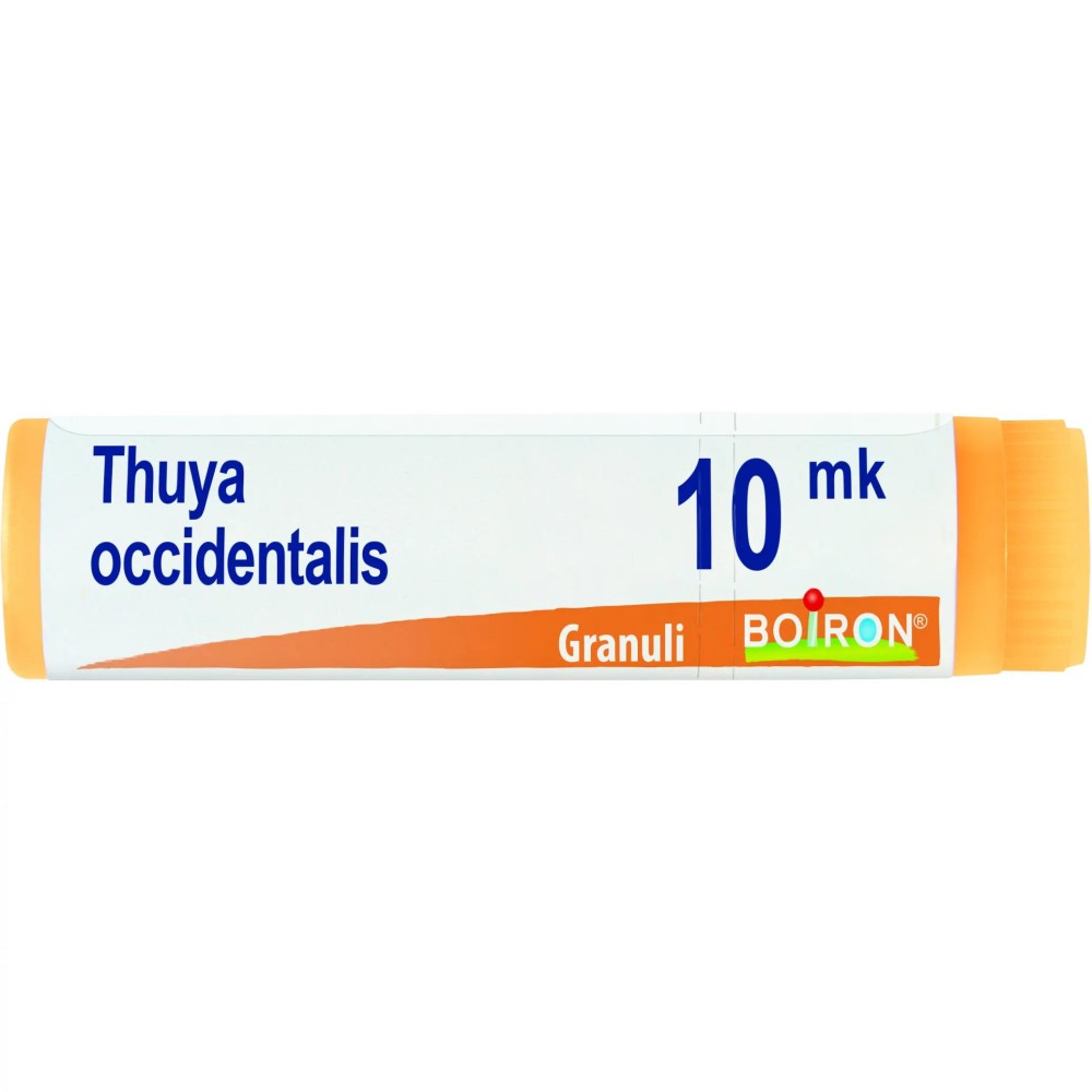 THUYA OCCIDENT XMK GL