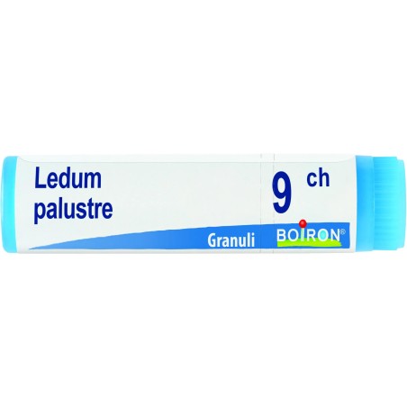 LEDUM PALUSTRE 9CH GL