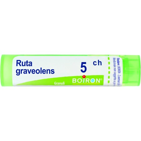 RUTA GRAVEOLENS%5CH 80GR 4G