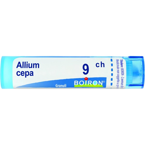 ALLIUM CEPA%9CH 80GR 4G