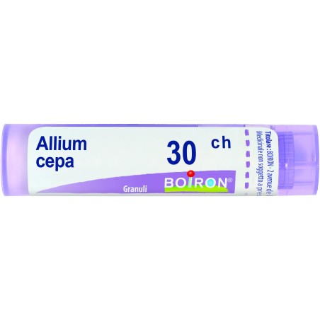 ALLIUM CEPA%30CH 80GR 4G