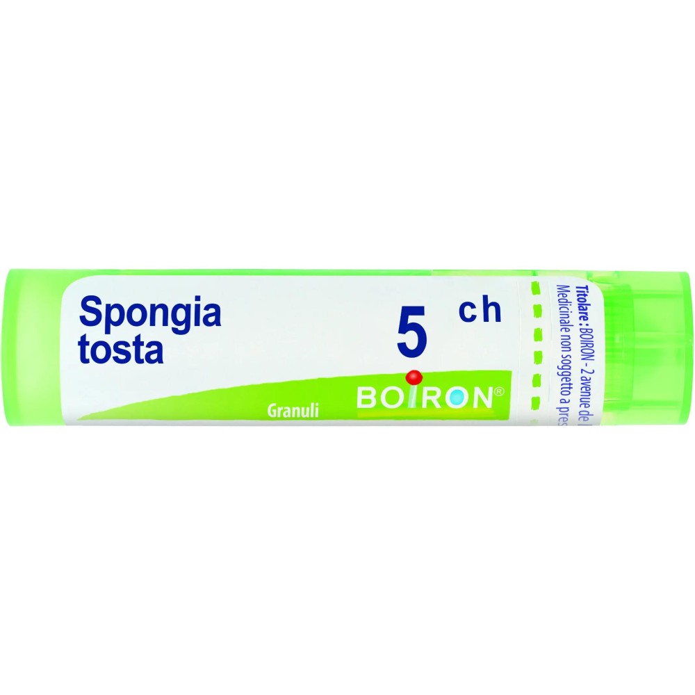 SPONGIA TOSTA 5CH GR