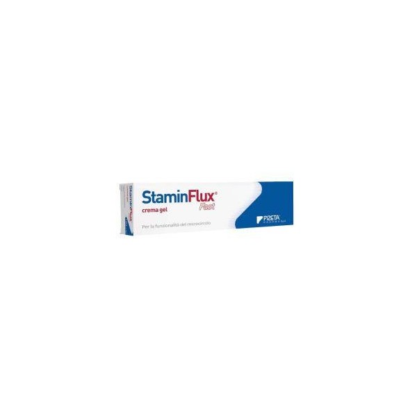 STAMINFLUX FAST CREMA GEL100ML