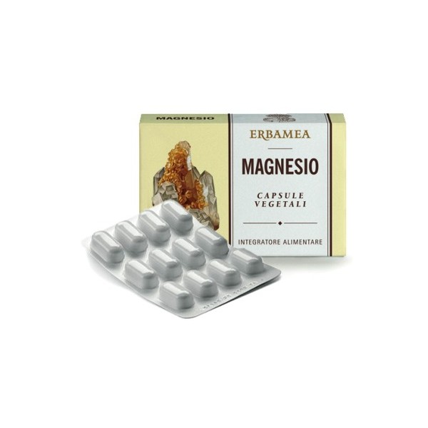 MAGNESIO 24CPS 1200MG