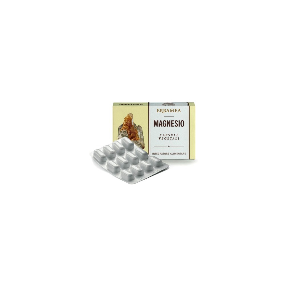 MAGNESIO 24CPS 1200MG