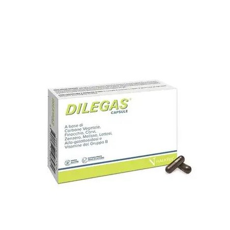 DILEGAS COMPRESSE 30CPR