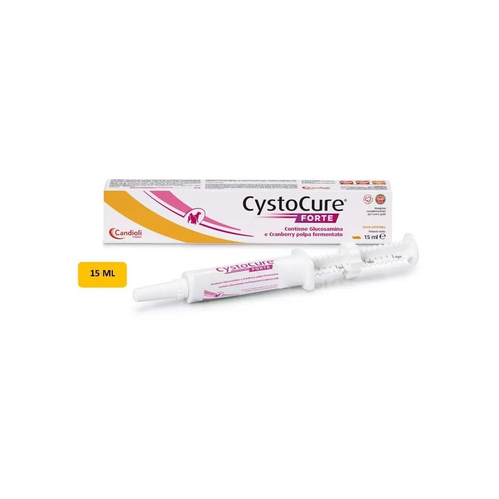 CYSTOCURE FORTE PASTA 15ML