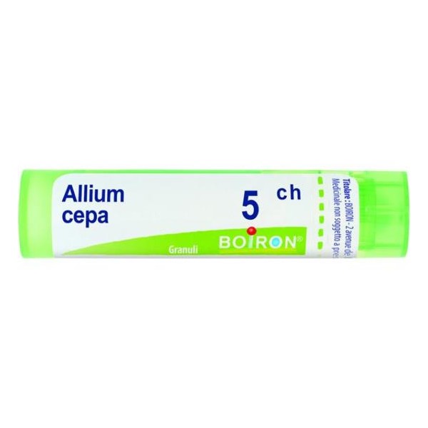 ALLIUM CEPA%5CH 80GR 4G