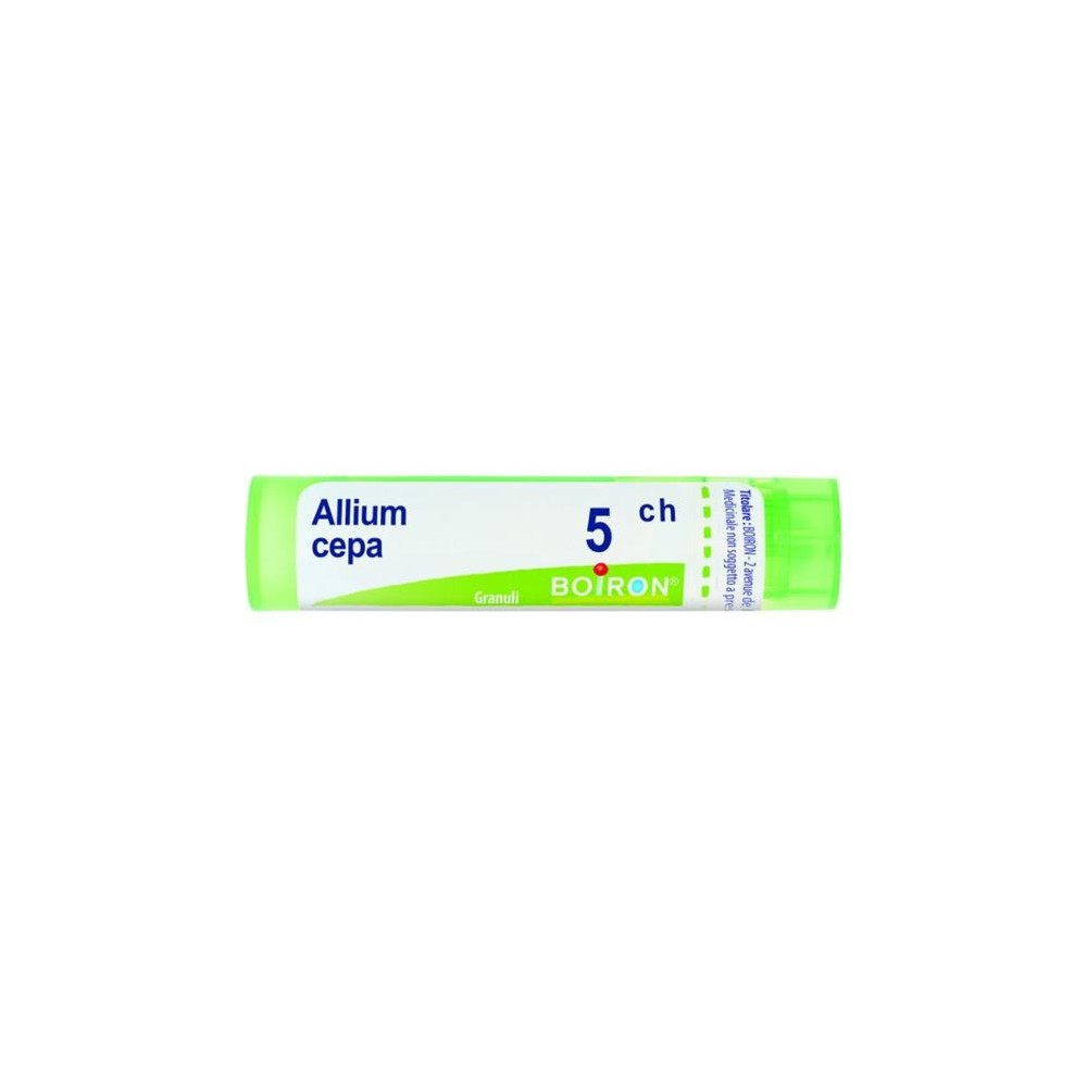 ALLIUM CEPA%5CH 80GR 4G