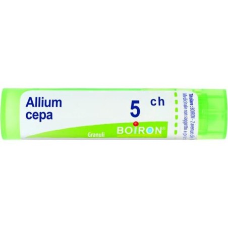 ALLIUM CEPA%5CH 80GR 4G