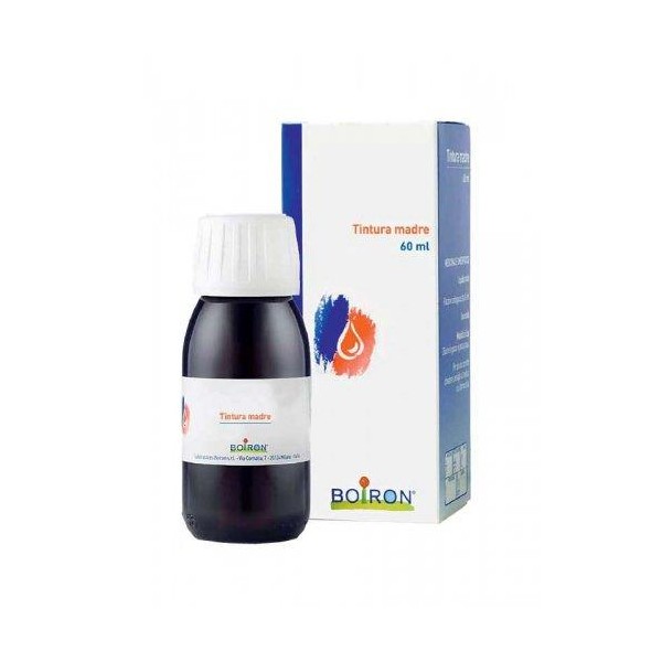 ARNICA MONTANA 60ML TM