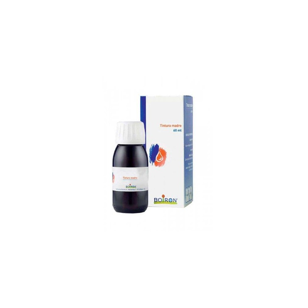 ARNICA MONTANA 60ML TM