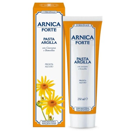 ARNICA FORTE PASTA ARGILL250ML