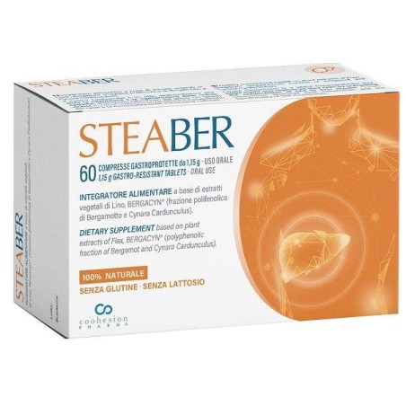 STEABER 60CPR GASTROPROTETTE